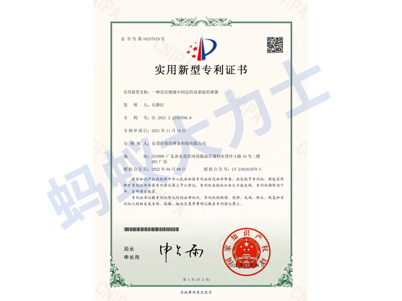 一種具有絕緣中間層的雙重波形彈簧-5569